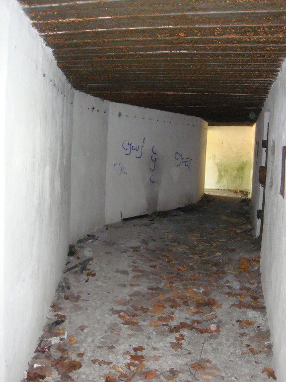 zdjęcie - 30