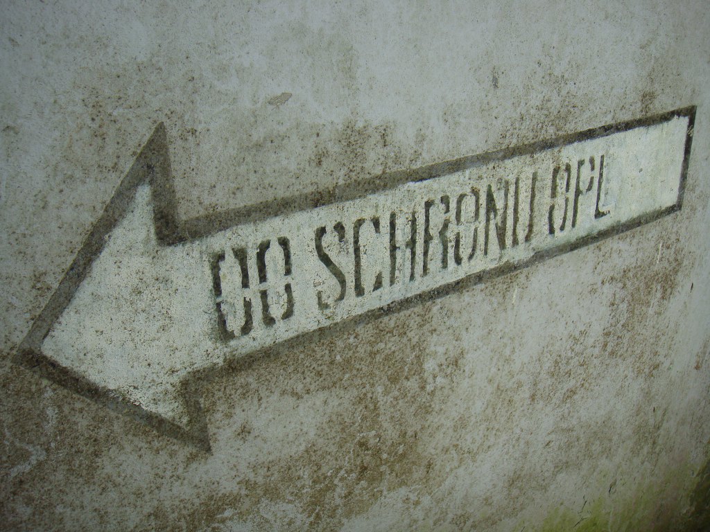 zdjęcie - 8