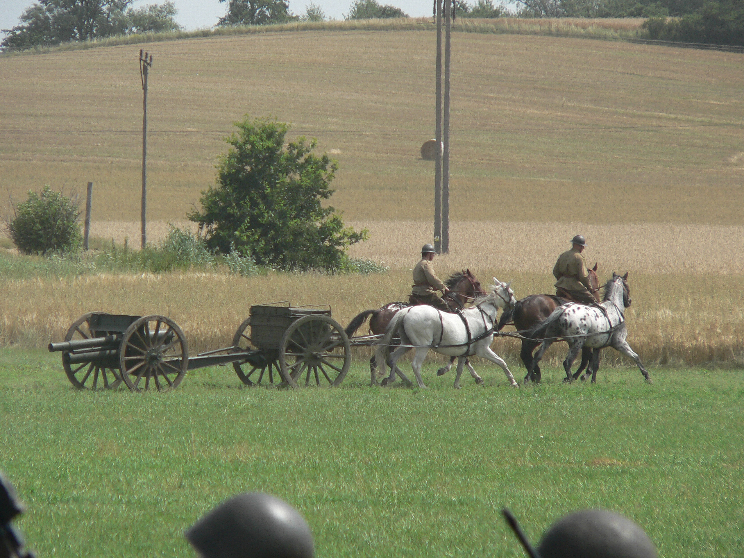 Prawosławna w zaprzęgu