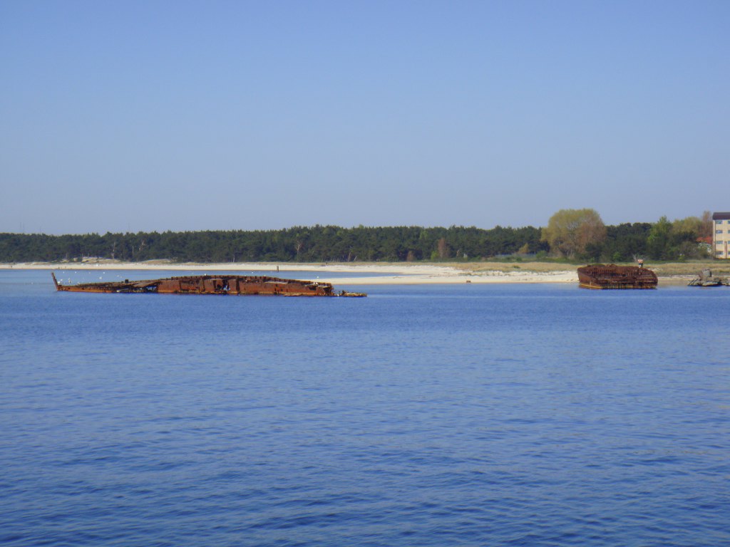 zdjęcie - 48