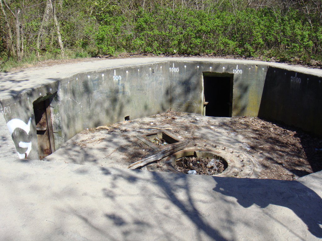 zdjęcie - 36