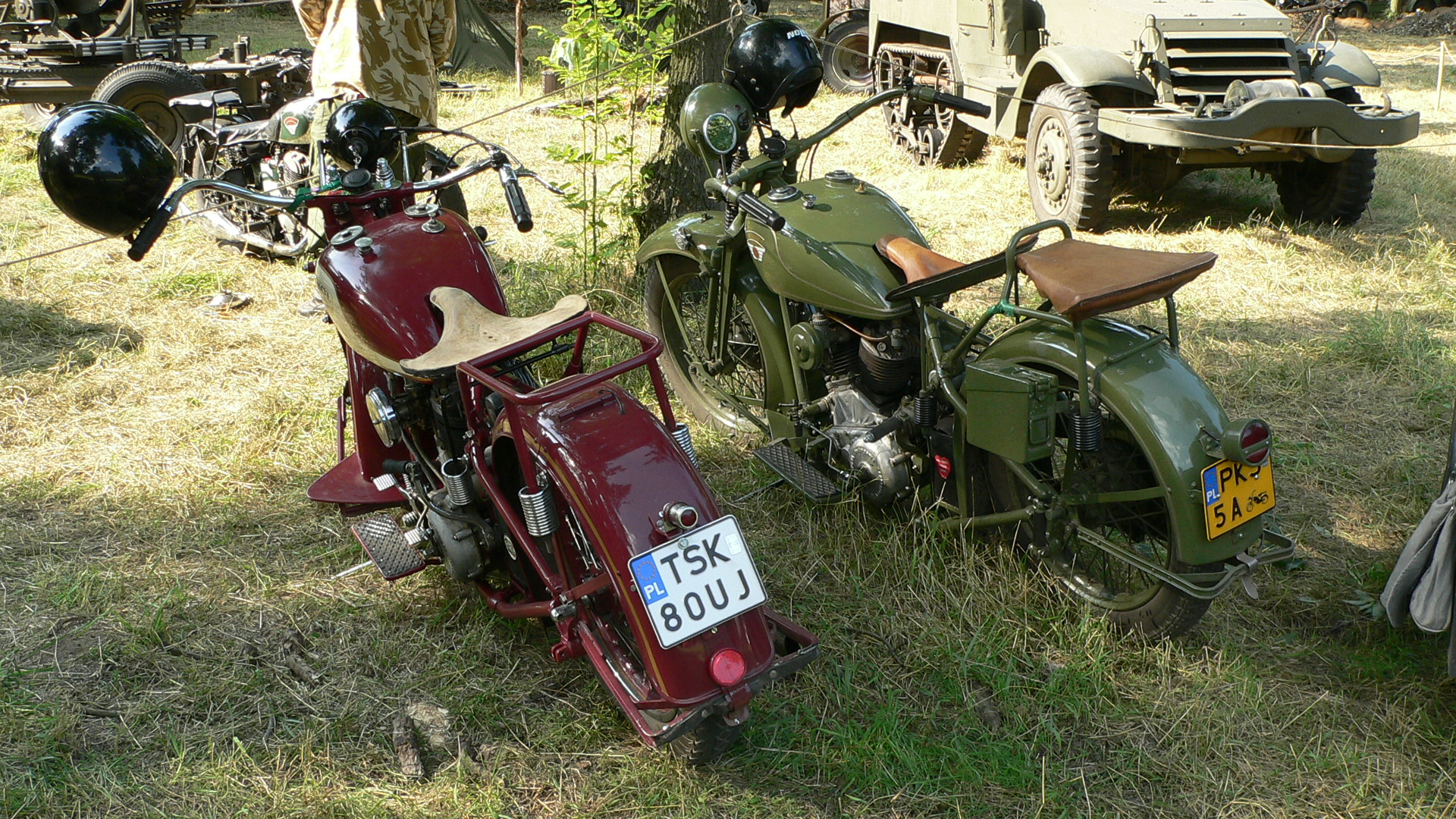 Sokoły
